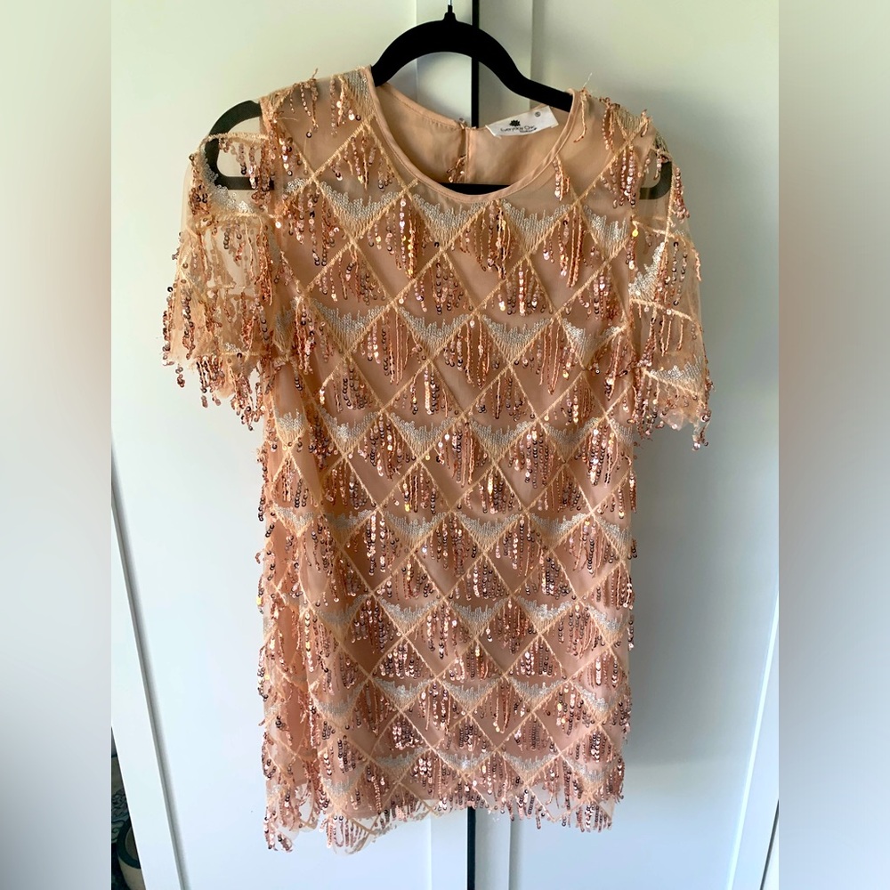 Everyday chic boutique beaded women’s mini dress in blush
